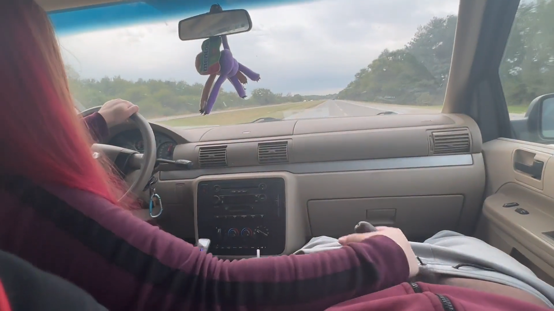 DICK OFF IN A TRAFFIC STOP